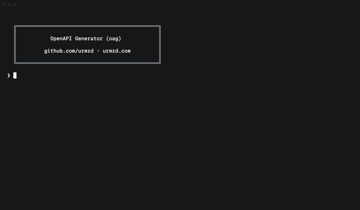 oag CLI demo showing code generation workflow